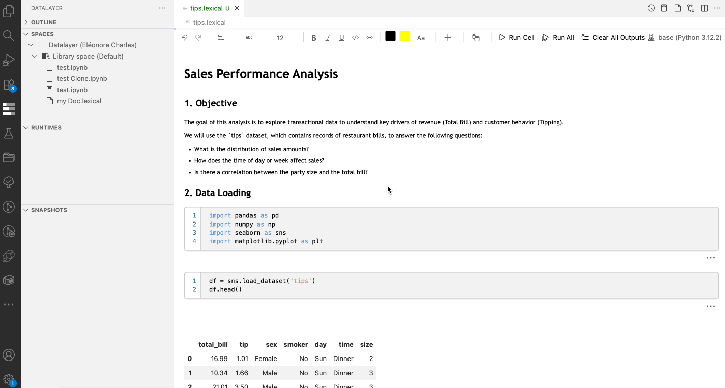 Datalayer VS Code extension showing a long-running Pydantic AI agent performing data analysis in a rich editor view